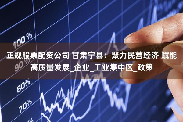 正规股票配资公司 甘肃宁县：聚力民营经济 赋能高质量发展_企业_工业集中区_政策