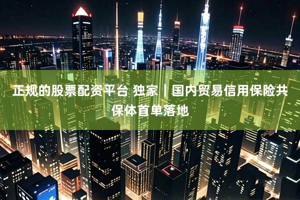 正规的股票配资平台 独家｜国内贸易信用保险共保体首单落地