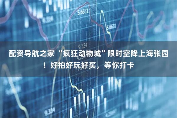 配资导航之家 “疯狂动物城”限时空降上海张园！好拍好玩好买，等你打卡