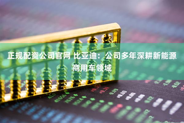 正规配资公司官网 比亚迪：公司多年深耕新能源商用车领域